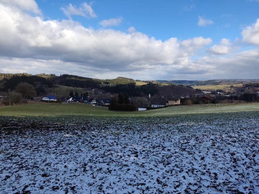 Holzhaus Chalet Nationalpark Eifel Hund Willkommen เฮลเลนธาล ภายนอก รูปภาพ